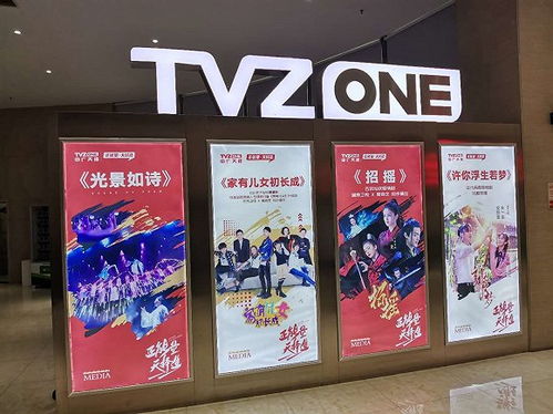 廣電傳統業務承壓，中廣天擇股東會揭秘MCN轉型新戰略